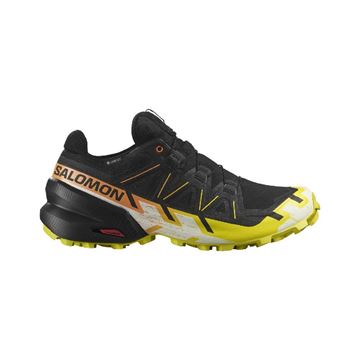 Picture of SALOMON SPEEDCROSS 6 GTX